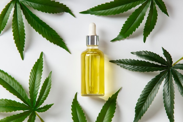 CBD oil bottle surrounded by hemp leaves, representing [CBD oil vs Gabapentin for Nerve Pain] treatments.